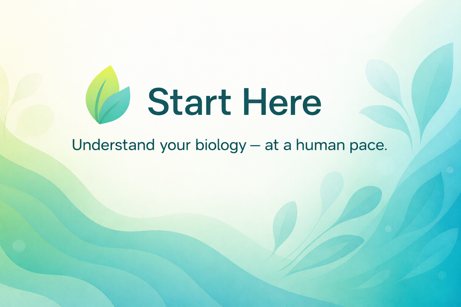 start here welcome picture